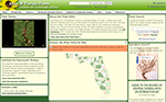 Institute for Systematic Botany Website Screenshot